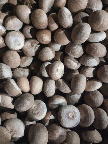 Impurity Free 10 Kilograms Form Whole Dried Areca Nut