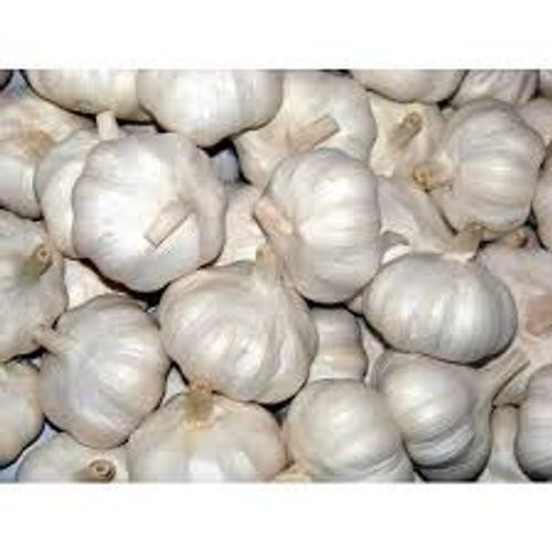 Rich In Nutritional Benefits 100% Natural Strong And Pungent Flavor Original Fresh Garlic