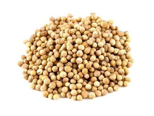 Long Shelf Life Healthy Natural Rich Fine Taste Dried Coriander Seeds Shelf Life: 2 Years