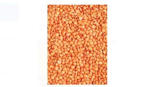Pack Of 1 Kilogram High In Protein Fresh Orange Masoor Dal
