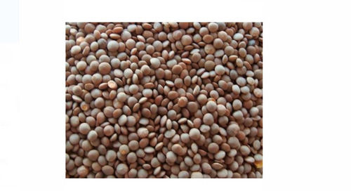 Orange Pack Of 1 Kilogram Pure And Natural High In Protein Fresh Masoor Dal