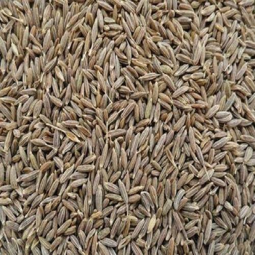 25 Kilogram Premium, Singapore, Regular, Grinding, European Quality Black Cumin Seed