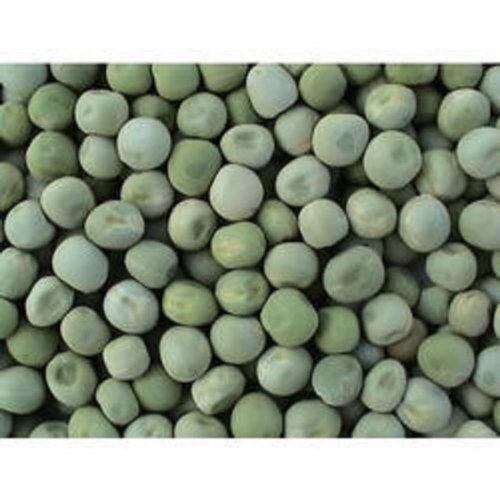 Natural Kashi Uday Green Pea Seed, Packaging Type: Loose