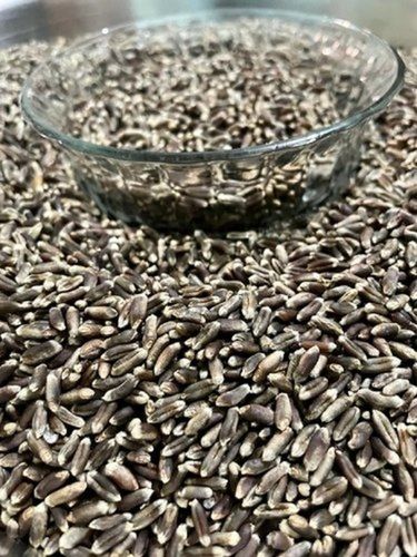 Naturally Grown Farm Fresh Pure Healthy Black Grains A Grade Natural And Tasty