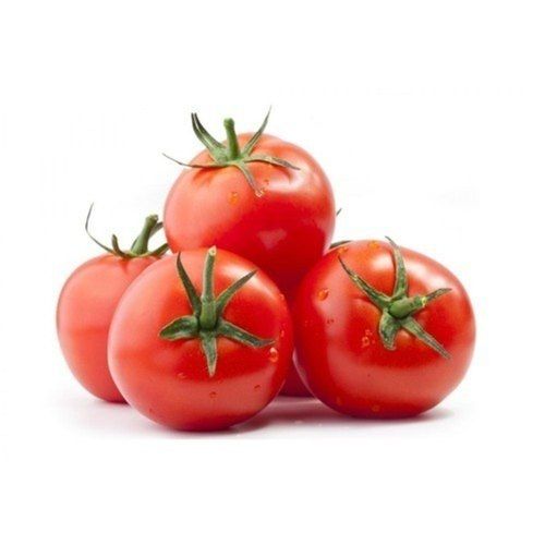 Organic Red Fresh Tomato