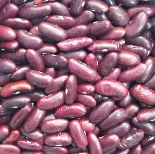 Silver Organic Red Kidney Beans, 500 Gm Packet