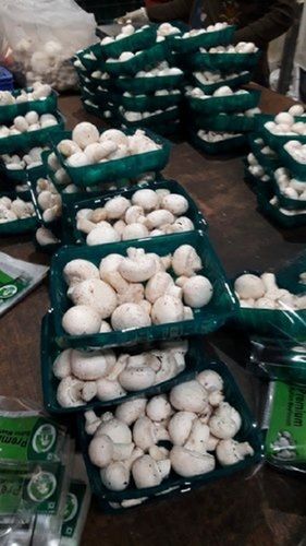 West Bengal White button mushroom, Packaging Type: Box, Packaging Size: 200 Gm