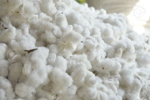 White Raw Cotton 