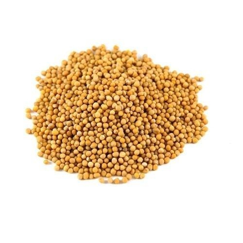 100 Organic Yellow Mustard Seed at Best Price in Kushinagar Kiran