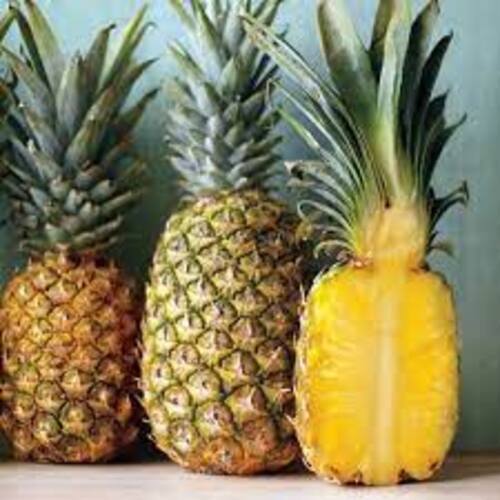 Antioxidants Chemical Free Juicy Rich Delicious Taste Healthy Organic Fresh Queen Pineapple