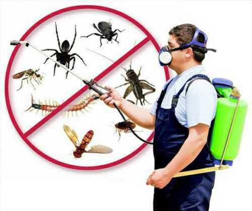Household Pest Control Services