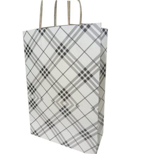 Light Weight Eco Friendly Biodegradable And Recyclable Printed Paper Carry Bag