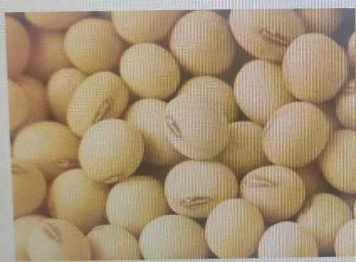 White Soya Beans Seeds 