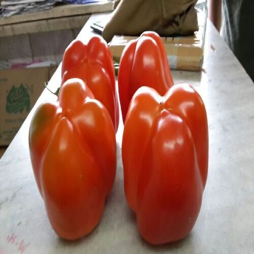 Natural Fine Rich Taste Chemical Free Healthy Organic Fresh Red Bell Pepper 