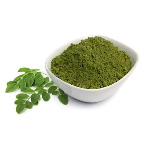 Excellent Source Of Antioxidant And Naturally Healthy Dried Pure Green Moringa Powder 