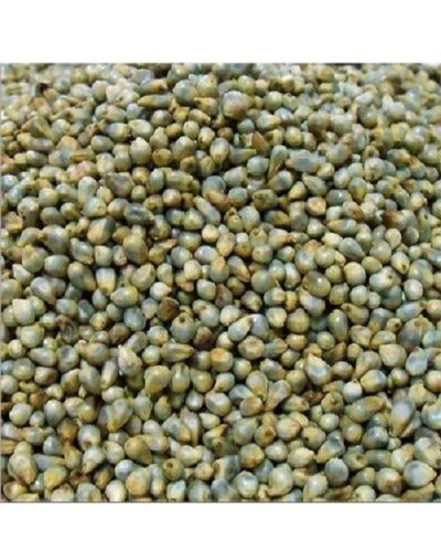 Common Cultivated Dried Style Healthy Pearl Millet For Food Processing Broken Ratio (%): . 2%