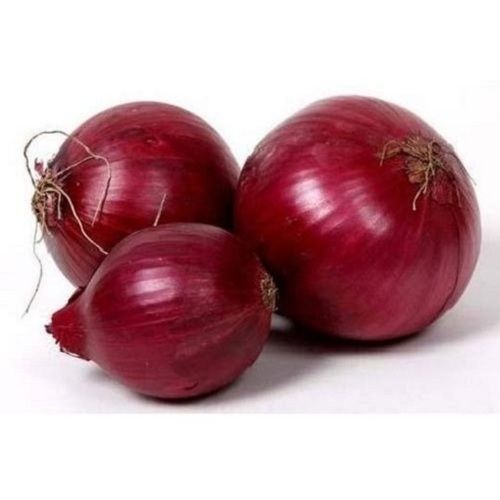 Fresh Onion