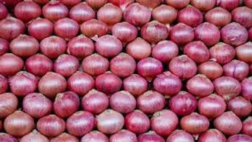 Natural And Round Shaped Strong Spicy Aroma Good Vegetable Fresh Onions