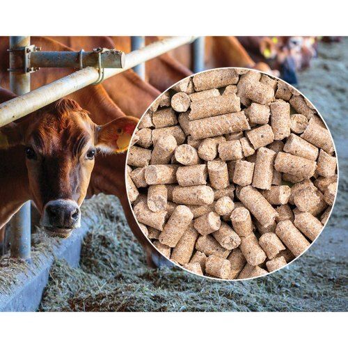 Brown Dried A Grade Cattle Feed Pellets