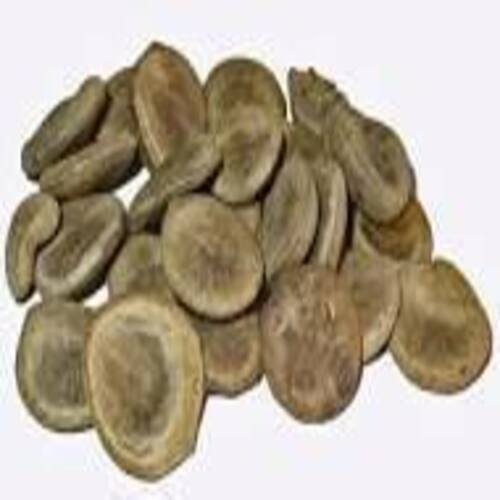 Evergreen Plant Dry Kuchla Improve Gastrointestinal Dried Herbs 