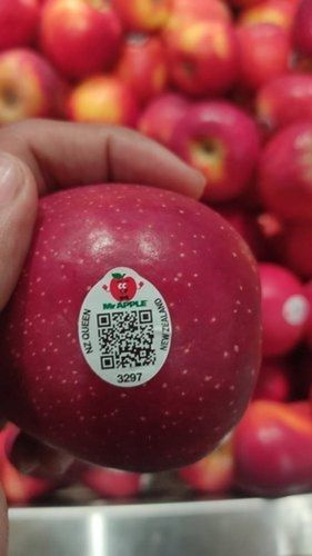 Food Grade Multicolor Adhesive Paper Fruit QR Code Labels And Stickers