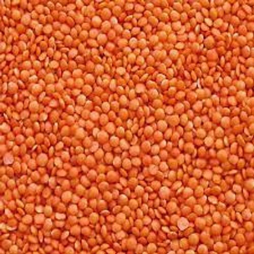 Healthy Rich In Nutritious Round Shaped Splited Red Masoor Dal,1 Kilogram Application: Residential