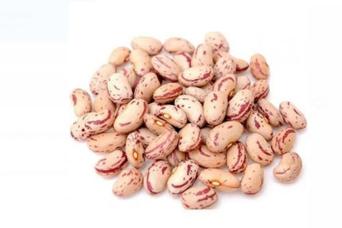 Pack Of 1 Kilogram Common Cultivated Dried Whole Light Brown Kidney Beans