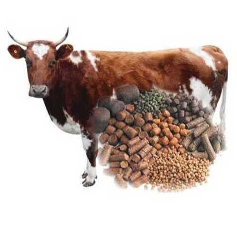 100% Natural Cattle Feed With 0-5% Moisture(Immune System) Packaging: Bottle