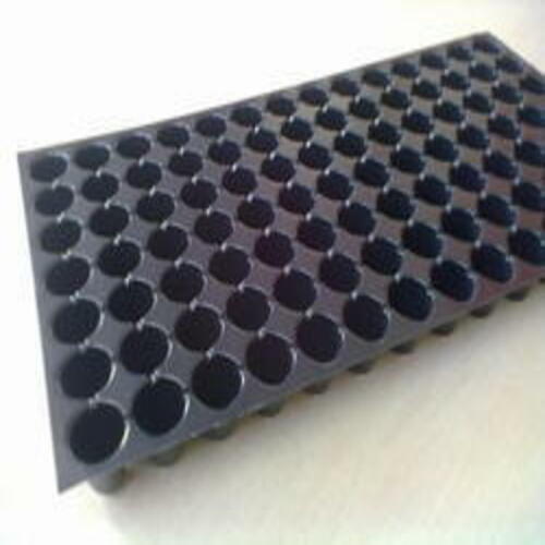 Black 98 Number Of Cells Per Tray And 100% Germination Of Seedling Pro Tray