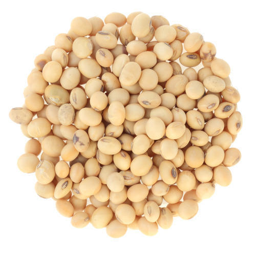 Dry Roasted Soybean