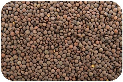 Pack Of 1 Kilogram Pure And Natural 12 Percent Admixture Dried Black Masoor Dal 