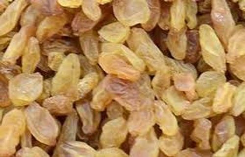 Glutinous Elongated Shape Commonly Cultivated Sweet Dried Golden Raisins,1 Kg