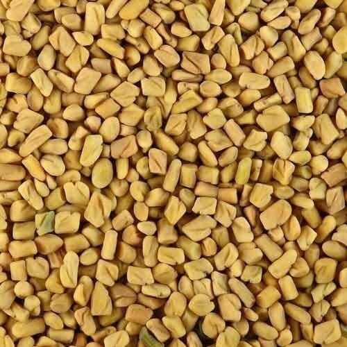 Good Quality Fresh And Natural Cholesterol Reducer Fenugreek Seeds