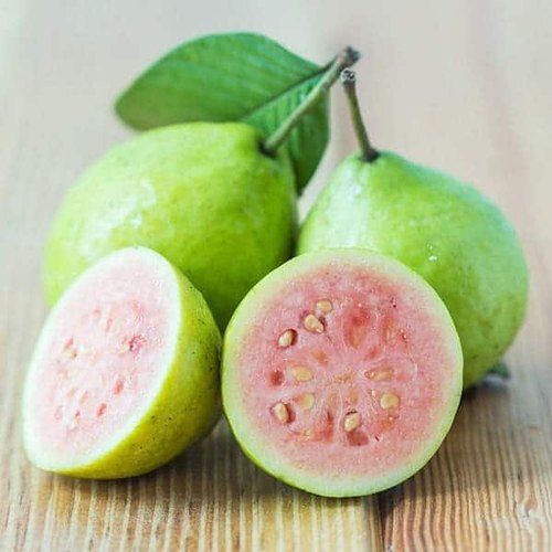 A Grade And Fresh Green Guava Indian Origin Naturally Grown Rich Source Of Vitamins