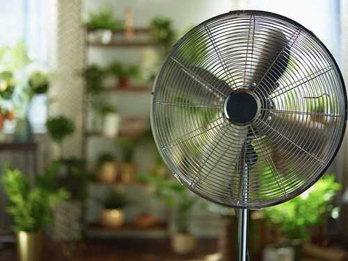 Electric 220 Volt Pedestal Fan Used In Home And Hotel