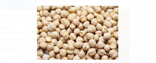Pack Of 1 Kilogram Pure And Natural Light Brown Dried Whole Chickpeas 