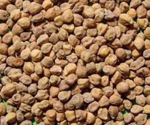 Brown Desi Chana