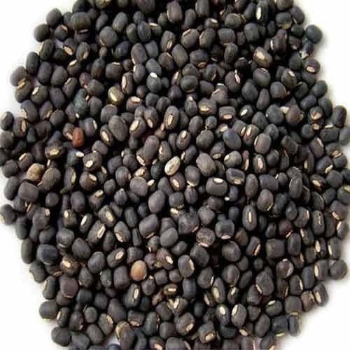 Dried Common Cultivated Oval Whole Black Urad Dal
