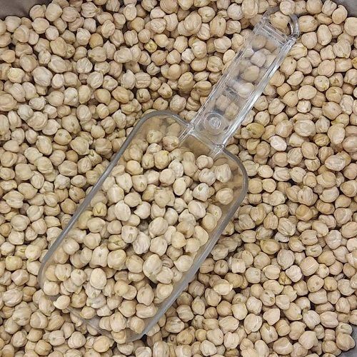 Dried Natural Shape Common Cultivated White Whole Kabuli Chana