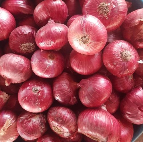Indian Origin And A Grade Farm Fresh Red Onion