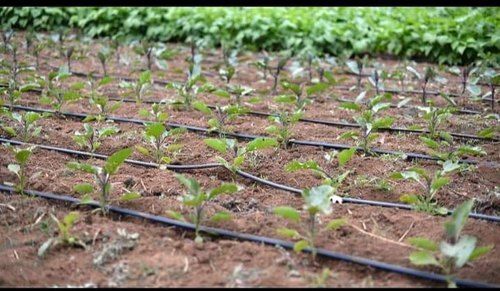 drip irrigation system