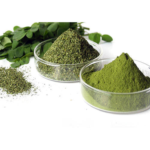 Farm Fresh Indian Origin Naturally Grown Vitamins Rich Moringa Leaf Powder