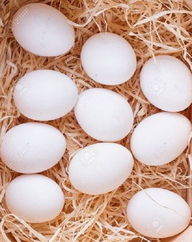 White Fresh Egg, For Household, Packaging Size: 210 Eggs Per Carton