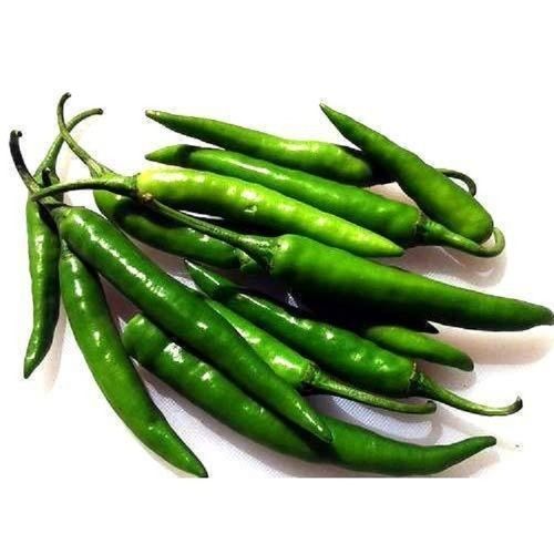 Spicy And Healthy Farm Fresh Indian Origin Naturally Grown Vitamins Rich Green Chilli