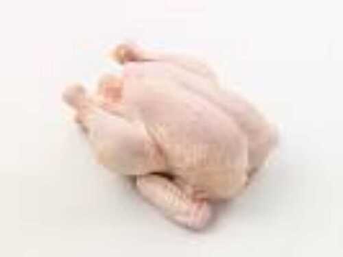 Broiler Chicken For Restaurant, Hotel Usage, Frozen Style, 2-3.5 Kg Weight