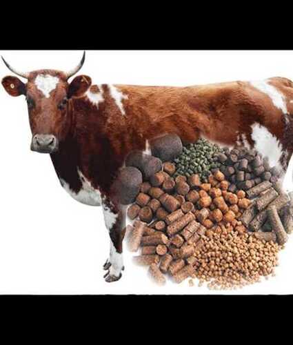 High In Vitamin And Protein Cattle Feed Available In Pellet And Mash Form