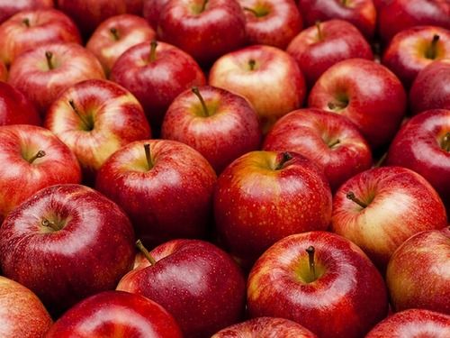 Pack Of 1 Kilogram Fresh Food Grade Sweet Round Medium Size Red Apples