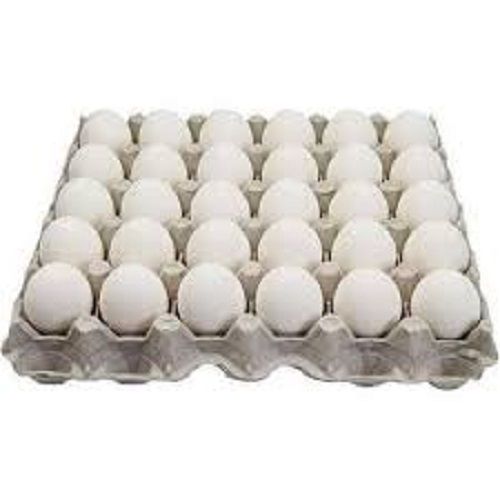 Color White Healthy Poultry Egg
