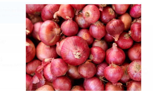 Pack Of 1 Kilogram Food Grade Fresh And Natural Round Red Onion