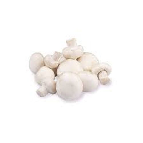 Fresh White Mushroom